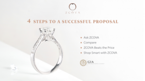 Successful Proposal