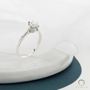 Cathedral Crown Solitaire Engagement Ring