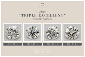 Which Triple Excellent should you buy