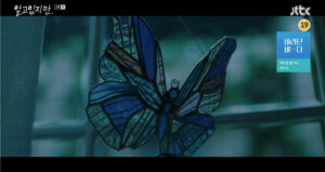 butterfly from nevertheless kdrama